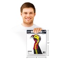 Life-Size Turkey 9&quot;x12&quot; size