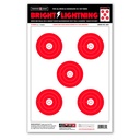 Bright Lightning 12.5&quot;x19&quot; Paper Targets (Bulk 100 Pack)