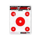 Bright Lightning 19&quot;x12&quot; Paper Targets (Retail 12 Pack)