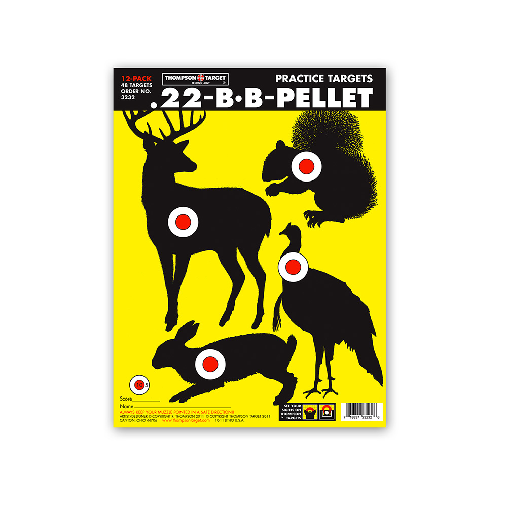 .22 BB Pellet 9"x12" Paper Target (Bulk 500 Pack)