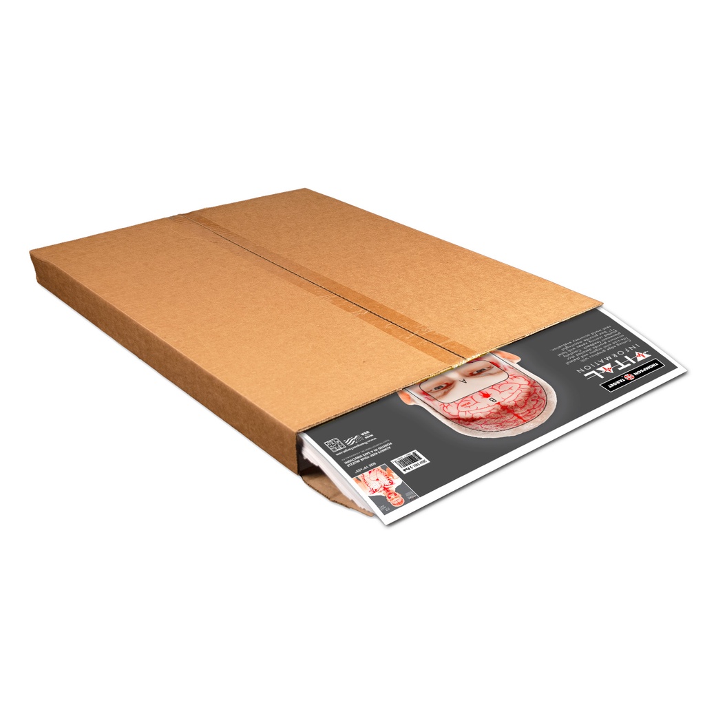 Vital Information 19"x25" Paper Targets (500 Carton)