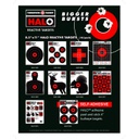 5800-A Product Refill Only (120 Units of 8.5"x11" HALO Reactive Targets 10/Pack)