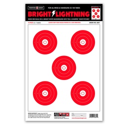 [6801-100] Bright Lightning 12.5&quot;x19&quot; Paper Targets (Bulk 100 Pack)