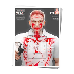 [2401-100] Vital Information 19"x25" Paper Targets (100 Pack)